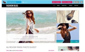 Tema Fashion Blog WordPress