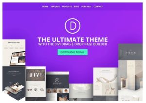 Tema WordPress Divi
